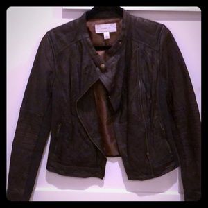 Caslon Brown Leather Jacket